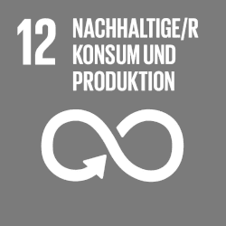 UN Ziel 12 - Nachhaltige Konsum- und Produktionsmuster sicherstellen