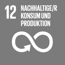 UN Ziel 12 - Nachhaltige Konsum- und Produktionsmuster sicherstellen